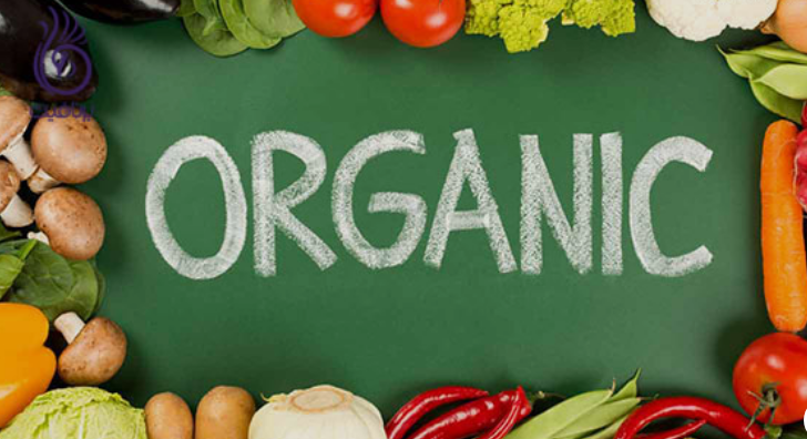 مقایسه مدلهای مختلف فرانچایز در حوزه محصولات ارگانیک؛ از کشاورزی تا فروشگاههای زنجیرهای