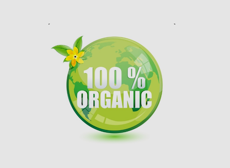 مقایسه مدلهای مختلف فرانچایز در حوزه محصولات ارگانیک؛ از کشاورزی تا فروشگاههای زنجیرهای