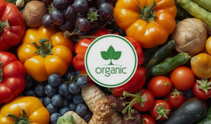 فرانچایزهای حوزه محصولات ارگانیک و طبیعی